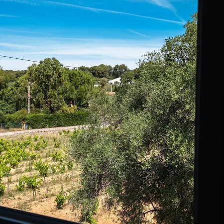 Logis De Port D'alon - St Cyr Sur 酒店 滨海圣西尔